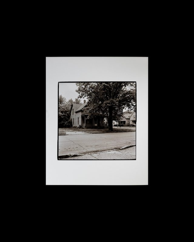Finding Light, chapter 22: Darla, oak tree
