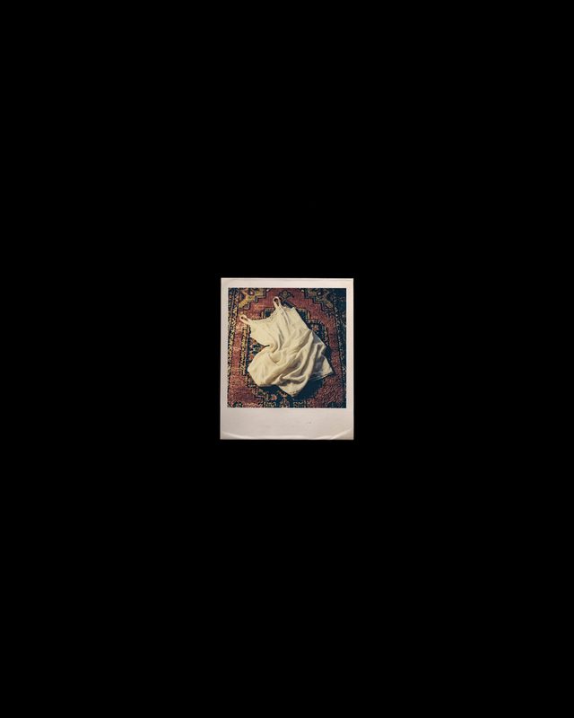 Finding Light, chapter 23: Rose, polaroid