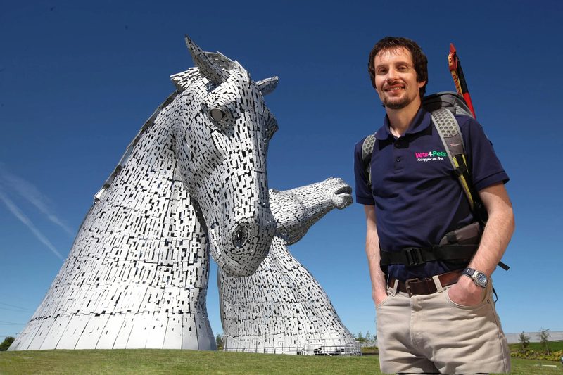Commissioned portrait for Vets4Pets: vets4pets kelpies