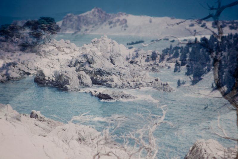 Shared Land: rocks into snow