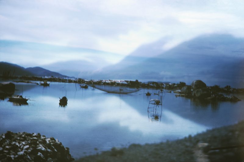 Shared Land: misty lake