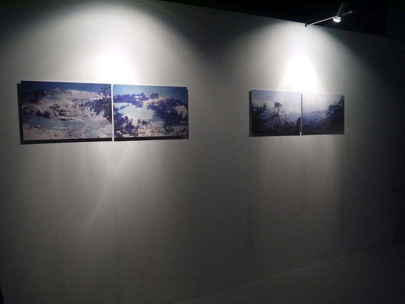 Shared Land installation: wall prints
